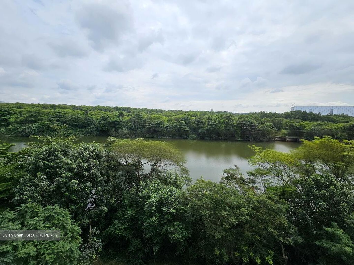 Blk 476C Hougang Capeview (Hougang), HDB 5 Rooms #463255821